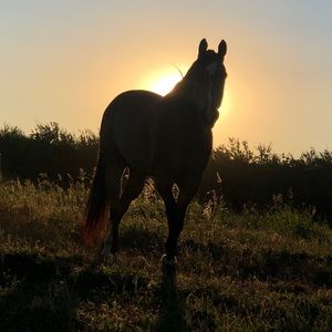 Meet your Posher, Jordyn